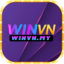winvnmy