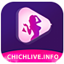 chichliveinfo