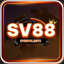 sv88vninfo