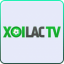 xoilactvtube