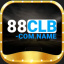 88clbcomname