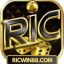 ricwin88com