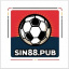 sin88pub