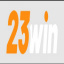 23winreport