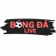 bongdalive