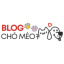 blogchomeoinfo