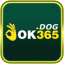 ok365dog