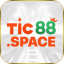 tic88space