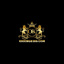 okking8386com