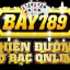 bay789vnorg