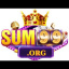 sum99wiki