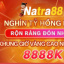 natra88biz