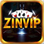 zinviporg