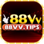 88vvtips